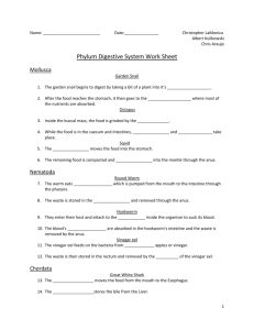 Homework Sheet