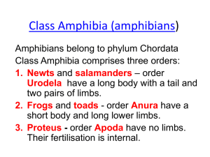Apoda, Legless amphibians