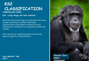 Year 5 & 6 - Chester Zoo