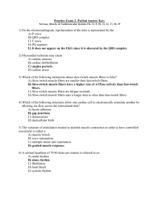 Partial Answer Key: Practice Exam 2