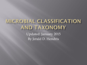 Microbial Classification and Taxonomy
