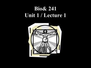 Bio 241 Unit 1 Lecture 1