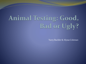 Animal Testing - stopthepresses