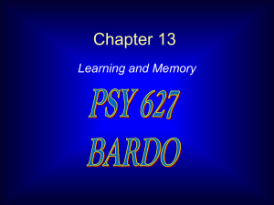 Chapter 13 Learning and Memory