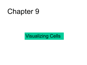 Visualizing cells