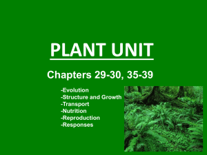 Unit 13 Plants (Teacher) PPT