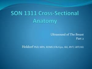 Breast Ultrasonography. An Introduction Part 2