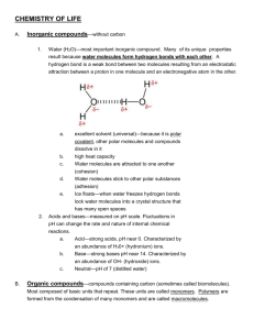 Cells 1 Notes (MS Word)