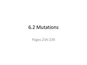 6.2 Mutations - Hutchison