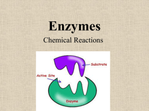 Enzymes