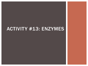 Enzymes ppt
