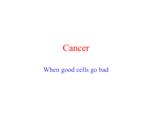 Lecture #10. The biology of Cancer, p53