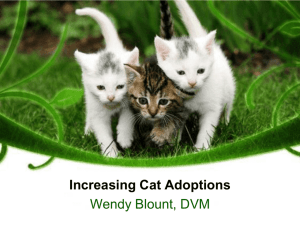 PowerPoint - Increasing Cat Adoptions - Wendy