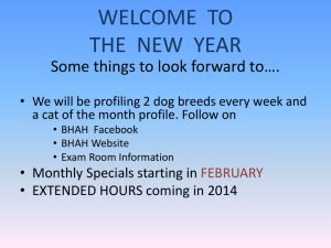 welcome to the new year - Black Horse Animal Hospital