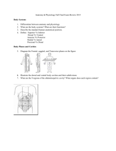 Anatomy & Physiology Fall Final Exam Review 2015 Body Systems