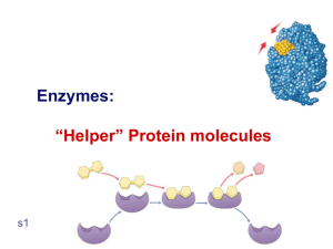 Enzymes: *Helper* Protein molecules