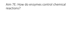 Aim 7e-Enzymes - Manhasset Public Schools