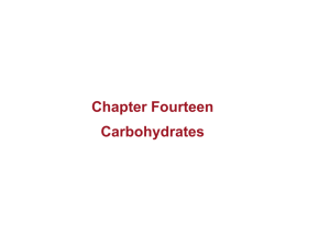 Chapter Fourteen