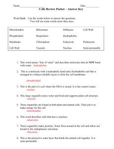 Cells and Biomolecule Review Answer Key