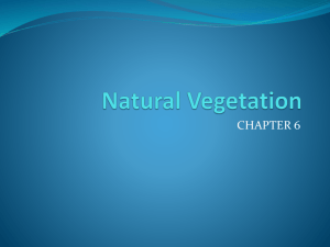 Natural Vegetation