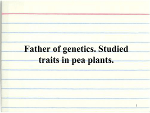 Genetics Flashcards