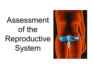 assesment of the Reproductive System