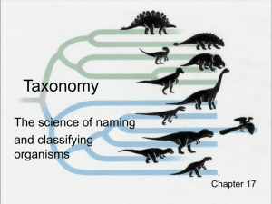 Taxonomy