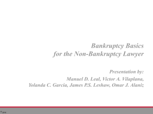 Bankruptcy Basics Presentation