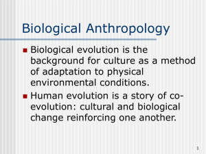 Biological Anthropology ()