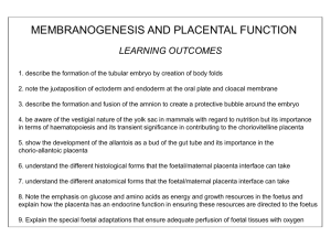 L3 Placental structure and function