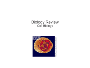 Introduction: Biology Today Chapter 1