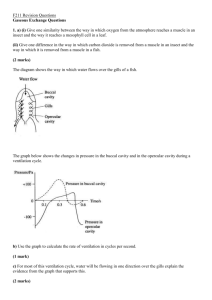 F211 and 212 Revision Questions