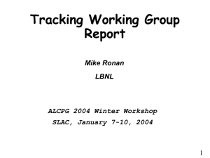 Tracking Working Group Report