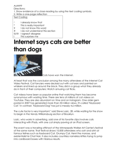 Internet says cats are better than dogs