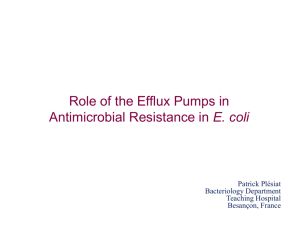 Active Efflux in Clinically-Important Gram-Negative Bacteria