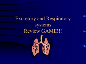 Excretory and Respiratory systems Review GAME!!!