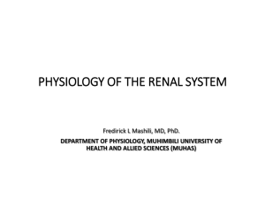 PHYSIOLOGY OF RENAL SYSTEM