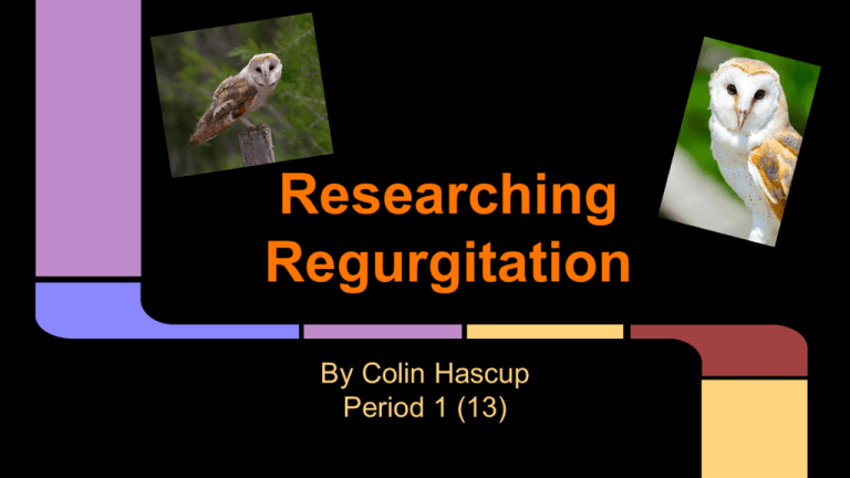 researching-regurgitation