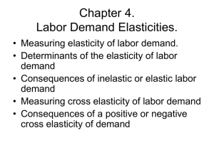 Chapter 4. Labor Demand Elasticities.