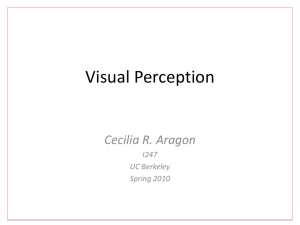 Visual Perception lecture