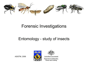 FSE 14 Bugs - The University of Western Australia