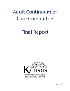 Adult Continuum of Care Committee