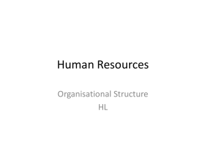 Org structure 2 HL