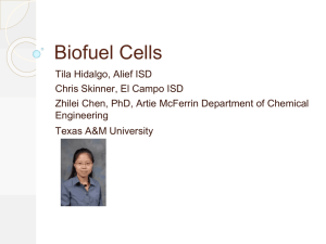 Biofuel Cells - Texas A&M University