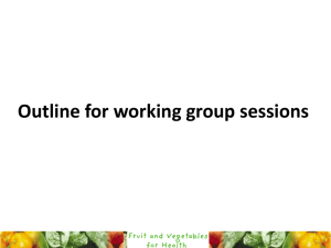 Outline for working group sessions
