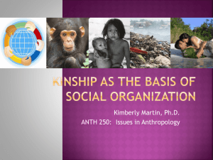 250 Kinship as Social Organization