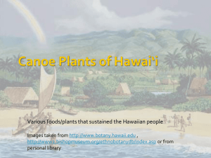 Canoe Plants of Hawai'i