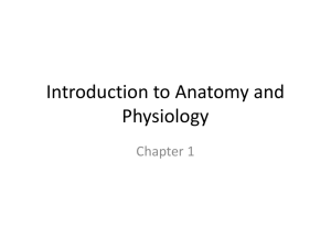 Introduction to Anatomy and Physiology - Mrs. Jackson