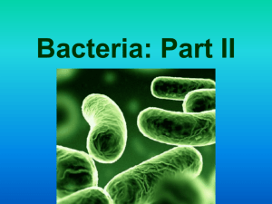 Bacteria: Part II