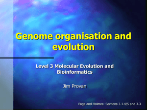 Genome organisation and evolution